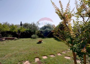 Giardino - Villa Strada vicinale Bavotta
 
10, Bitonto - foto 3