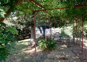 Giardino - Villa Strada vicinale Bavotta
 
10, Bitonto - foto 5