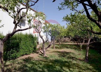 Giardino - Villa Strada vicinale Bavotta
 
10, Bitonto - foto 6