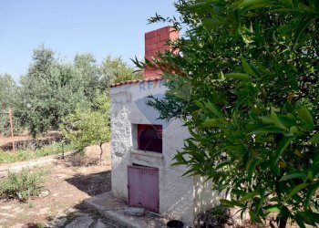 Casa all\'aperto - Villa Strada vicinale Bavotta
 
10, Bitonto - foto 8