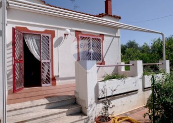 Casa all\'aperto - Villa Strada vicinale Bavotta
 
10, Bitonto - foto 9