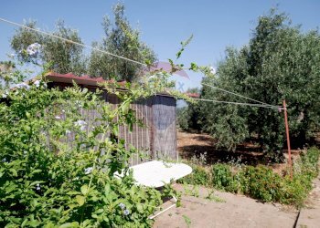 Giardino - Villa Strada vicinale Bavotta
 
10, Bitonto - foto 23