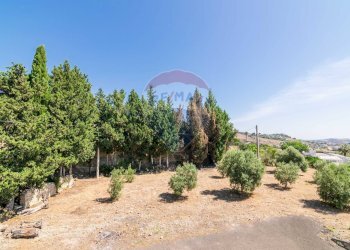 Giardino - Villa Contrada Archi, Scordia - foto 41