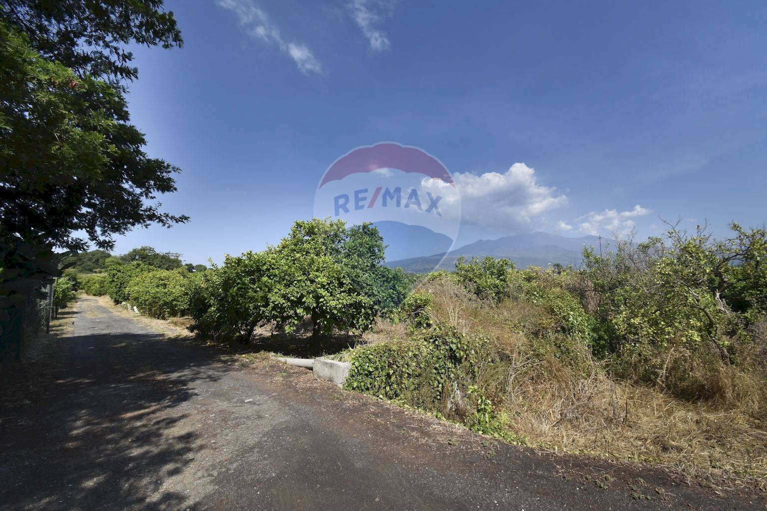 Vista delle montagne - Agricultural land Via Chiuse
 
23, Acireale - photo 2