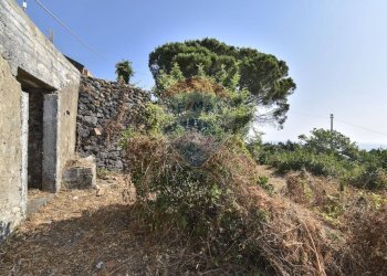 Giardino - Terreno agricolo Via Chiuse
 
23, Acireale - foto 12