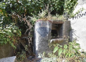 Giardino - Terreno agricolo Via Chiuse
 
23, Acireale - foto 21