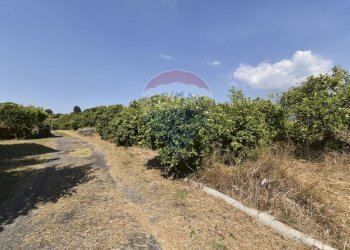 Giardino - Terreno agricolo Via Chiuse
 
23, Acireale - foto 26