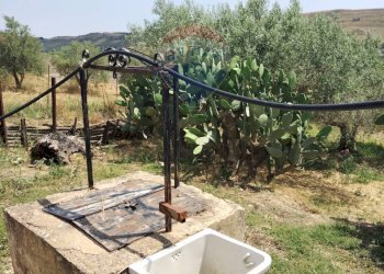 Giardino - Villa Contrada Fegotello
 
s.n.c., Piazza Armerina - foto 17