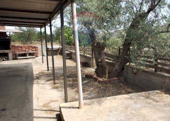 Terrazza - Villa Contrada Fegotello
 
s.n.c., Piazza Armerina - foto 21