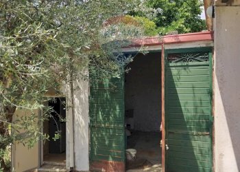 Giardino - Villa Contrada Fegotello
 
s.n.c., Piazza Armerina - foto 22