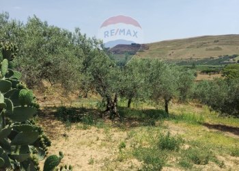 Vista delle montagne - Villa Contrada Fegotello
 
s.n.c., Piazza Armerina - foto 29