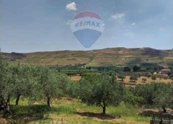 Vista delle montagne - Villa Contrada Fegotello
 
s.n.c., Piazza Armerina - foto 32