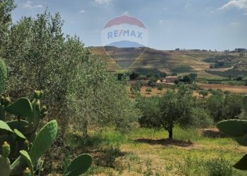 Vista delle montagne - Villa Contrada Fegotello
 
s.n.c., Piazza Armerina - foto 33