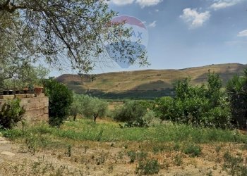 Giardino - Villa Contrada Fegotello
 
s.n.c., Piazza Armerina - foto 34