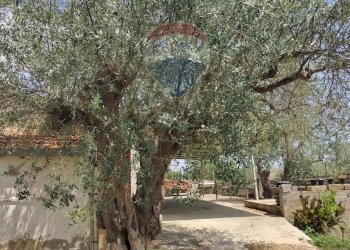 Giardino - Villa Contrada Fegotello
 
s.n.c., Piazza Armerina - foto 35