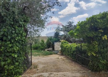 Giardino - Villa Contrada Fegotello
 
s.n.c., Piazza Armerina - foto 37