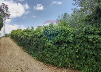 Giardino - Villa Contrada Fegotello
 
s.n.c., Piazza Armerina - foto 38