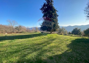 Giardino - Casa indipendente Arezzo - foto 25