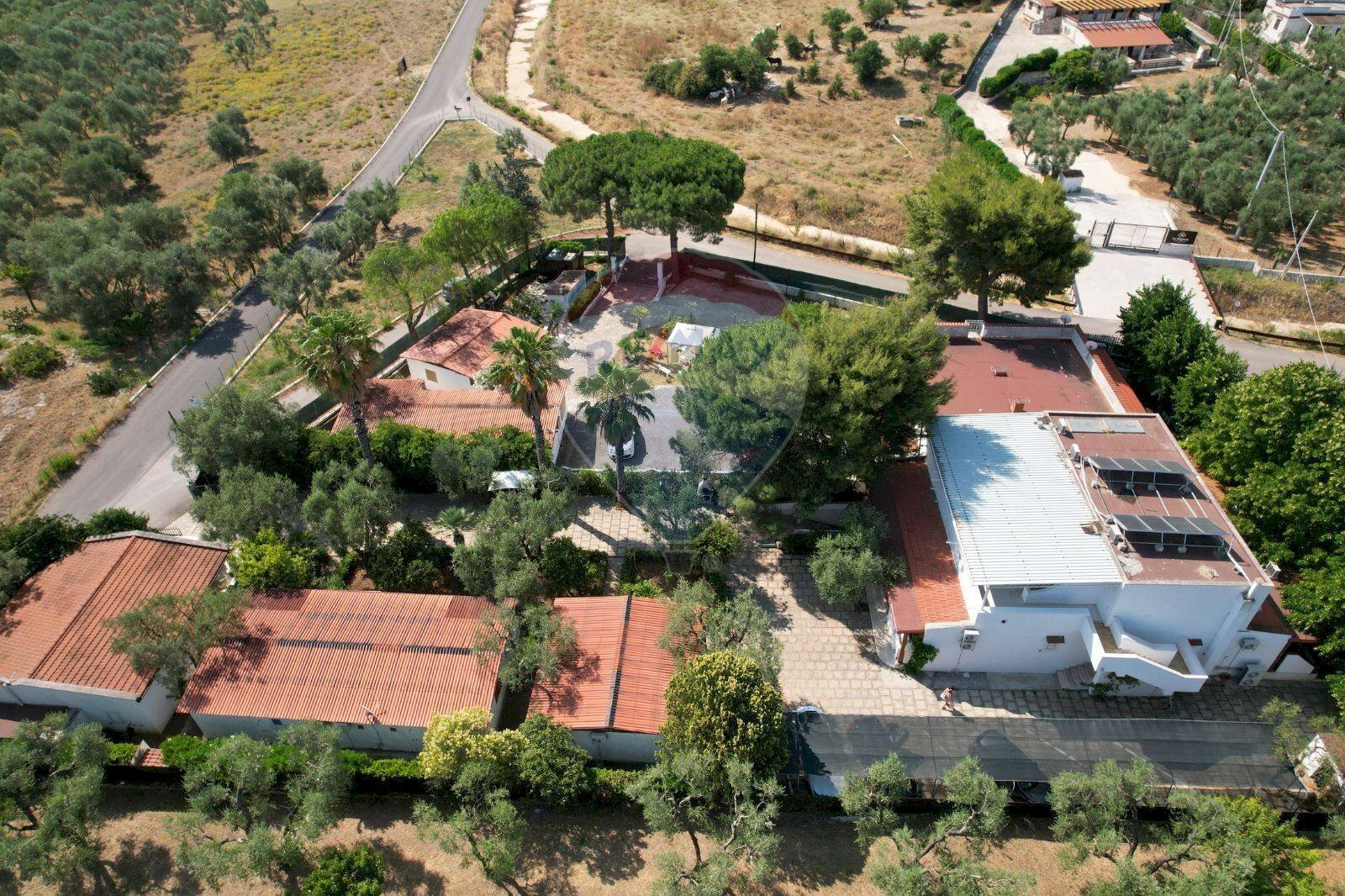 vista dall\'alto - Hotel Località Montincello, Vieste - foto 1