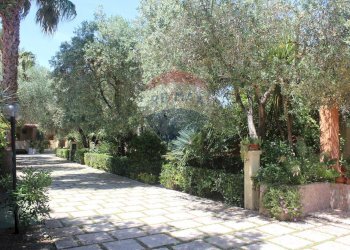 esterno - Hotel Località Montincello, Vieste - foto 4