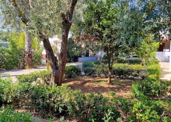 esterno - Hotel Località Montincello, Vieste - foto 6