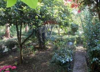 esterno - Hotel Località Montincello, Vieste - foto 10