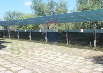 parcheggio - Hotel Località Montincello, Vieste - foto 12