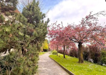 Giardino - Three-room apartment Via Gavirate
 
16, Milano - photo 12