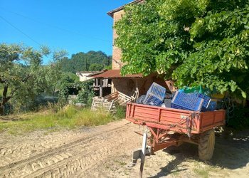 Foto 2 - Terreno agricolo VIA DEL CHIANTI, Terricciola - foto 2