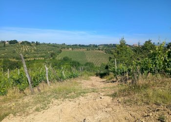 Foto 6 - Terreno agricolo VIA DEL CHIANTI, Terricciola - foto 5