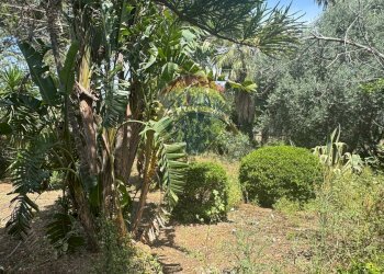 Giardino - Villa Borgetto - photo 86