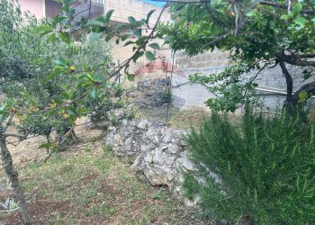 Giardino - Villa via S. Vicinale Caputello
 
2/4, Monreale - foto 21