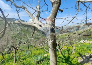 Vista delle montagne - Villa via S. Vicinale Caputello
 
2/4, Monreale - foto 47