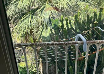 Giardino - Independent house Trapani - photo 39