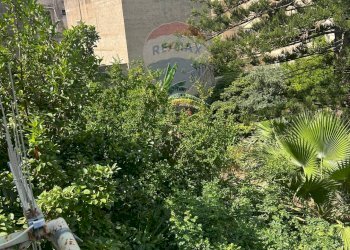 Edificio all\'aperto - Appartamento Trapani - foto 14