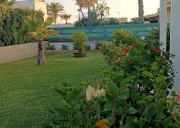 Giardino - Villa Campobello di Mazara - foto 7