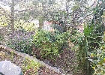 Giardino - Villa via Della Panoramica
 
9, Altofonte - photo 38