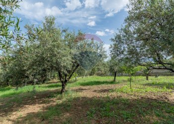 Giardino - Villa Contrada Piano Inferno, Trappeto - photo 38