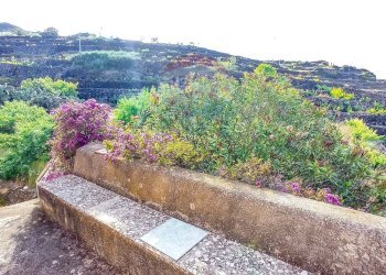 Giardino - Appartamento Località Bonsulton, Pantelleria - foto 18