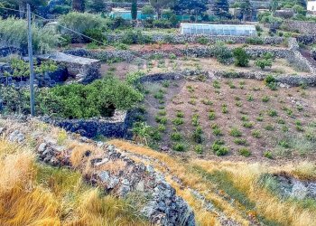 Vista delle montagne - Appartamento Bonsulton, Pantelleria - foto 4
