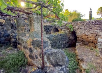 Giardino - Appartamento Bonsulton, Pantelleria - foto 8