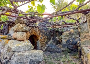 Giardino - Appartamento Bonsulton, Pantelleria - foto 9