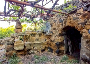 Giardino - Appartamento Bonsulton, Pantelleria - foto 11