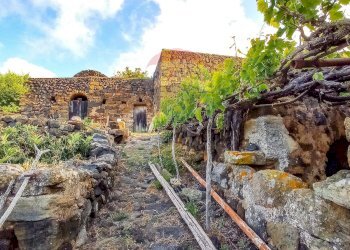 Giardino - Appartamento Bonsulton, Pantelleria - foto 13