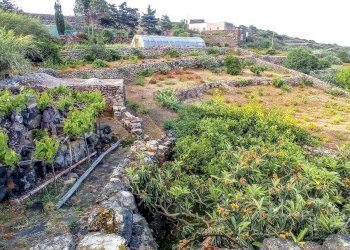 Giardino - Appartamento Bonsulton, Pantelleria - foto 14