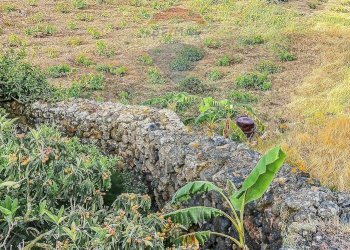 Vista delle montagne - Appartamento Bonsulton, Pantelleria - foto 19