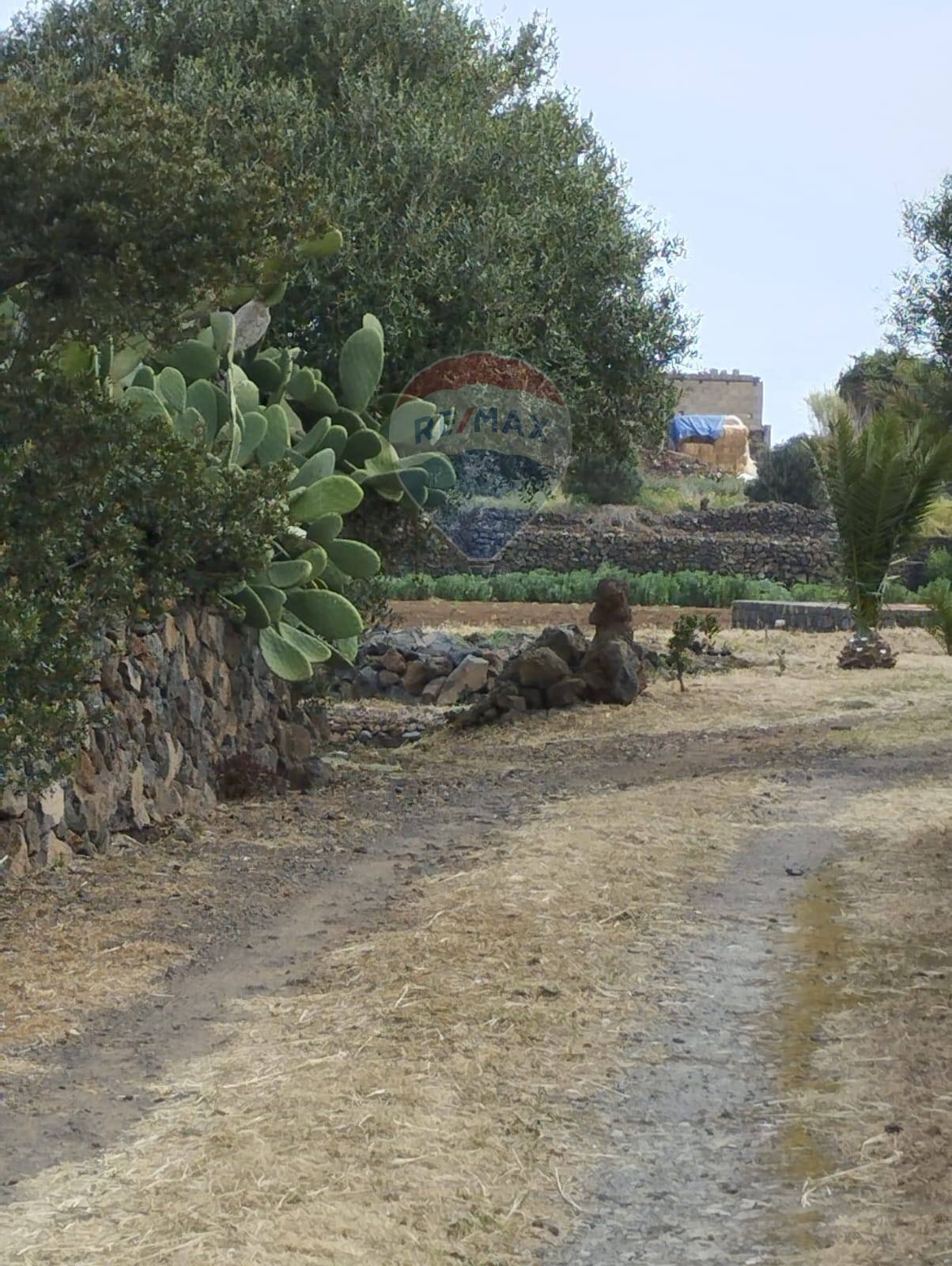 Giardino - Appartamento Localita Kuddia Bruciata, Pantelleria - foto 3