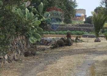 Giardino - Appartamento Localita Kuddia Bruciata, Pantelleria - foto 3