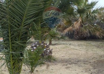 Giardino - Appartamento Localita Kuddia Bruciata, Pantelleria - foto 8