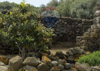 Giardino - Appartamento Localita Kuddia Bruciata, Pantelleria - foto 12